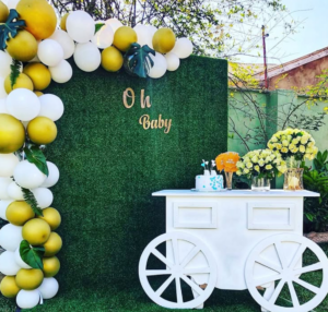 event coordination, portapixie events